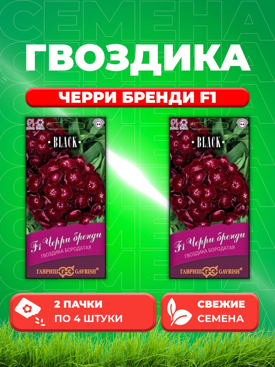 

Семена Гвоздика бородатая (тур) Черри бренди F1, 4штBlack(2уп)