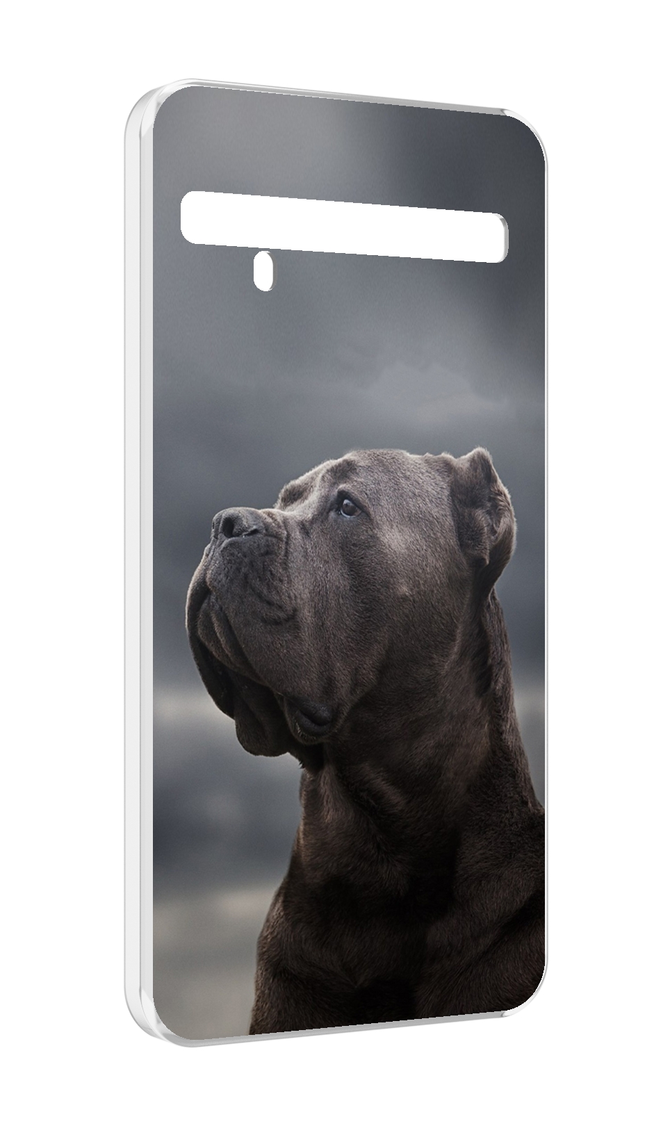 

Чехол MyPads кане корсо для TCL 10 Pro / TCL 10 + Plus, Прозрачный, Tocco