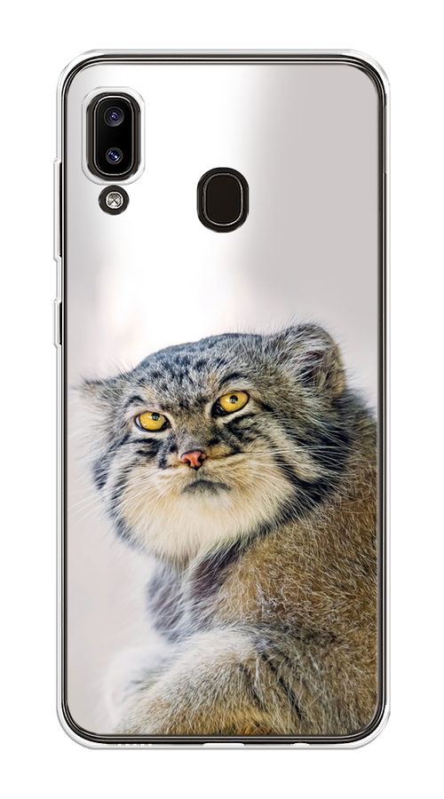 

Чехол на Samsung Galaxy A30/A20 "Кот манул 1", Серый;белый;желтый, 27650-1