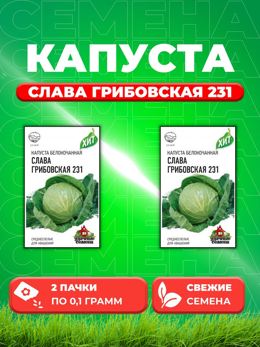 

Семена капуста белокочанная Слава Грибовская 231 Удачные семена 1071857721-2 2 уп.
