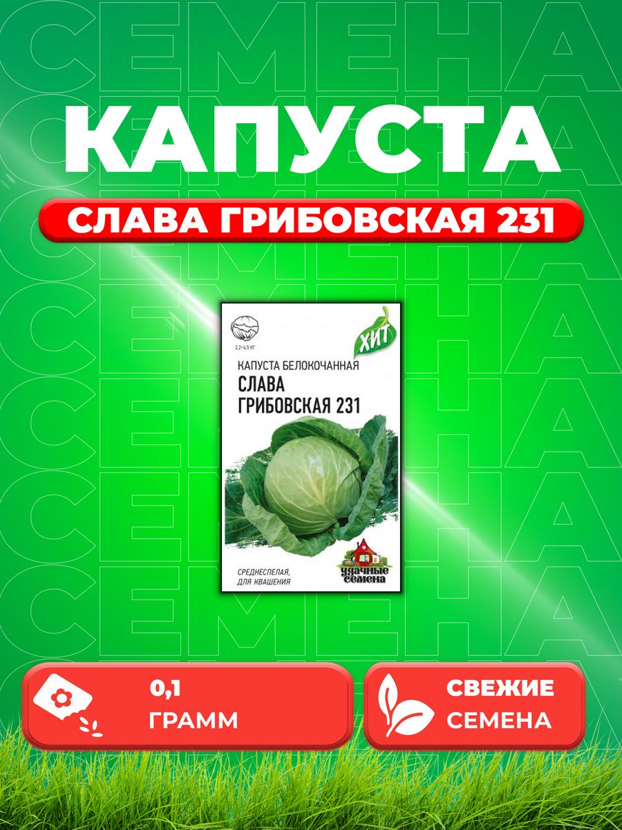

Семена капуста белокочанная Слава Грибовская 231 Удачные семена 1071857721-1 1 уп.