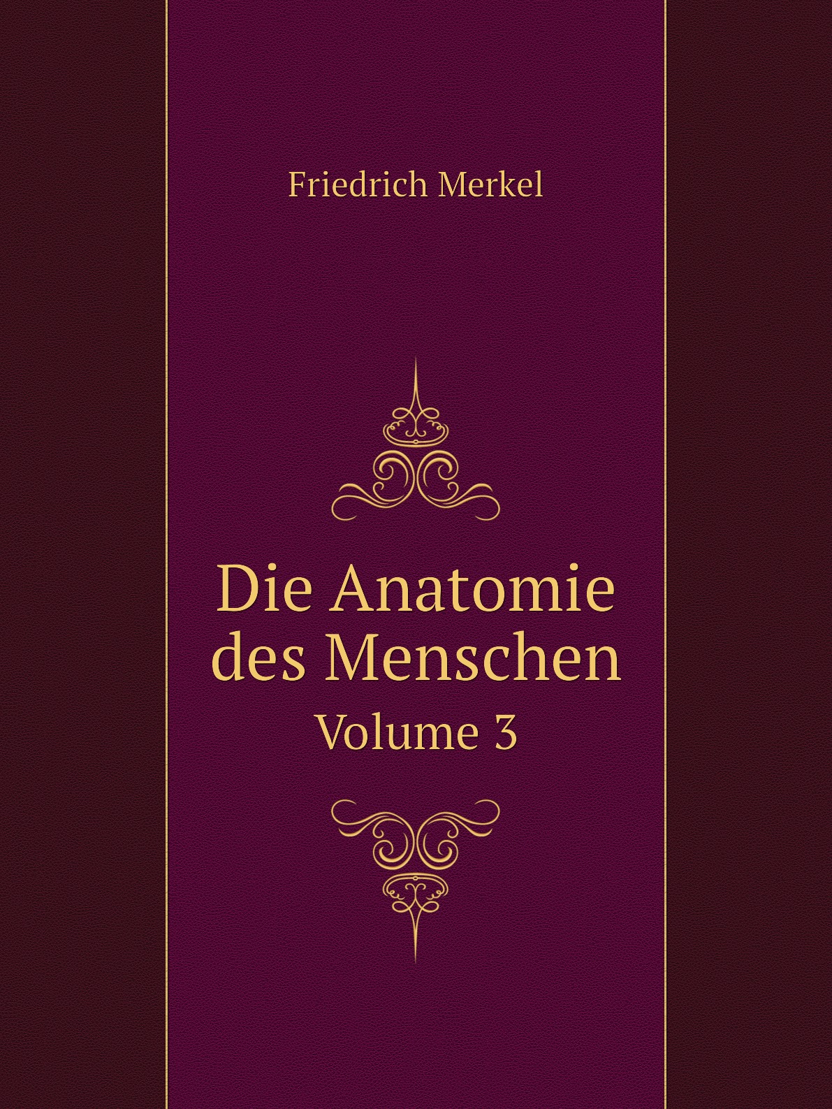 

Die Anatomie des Menschen