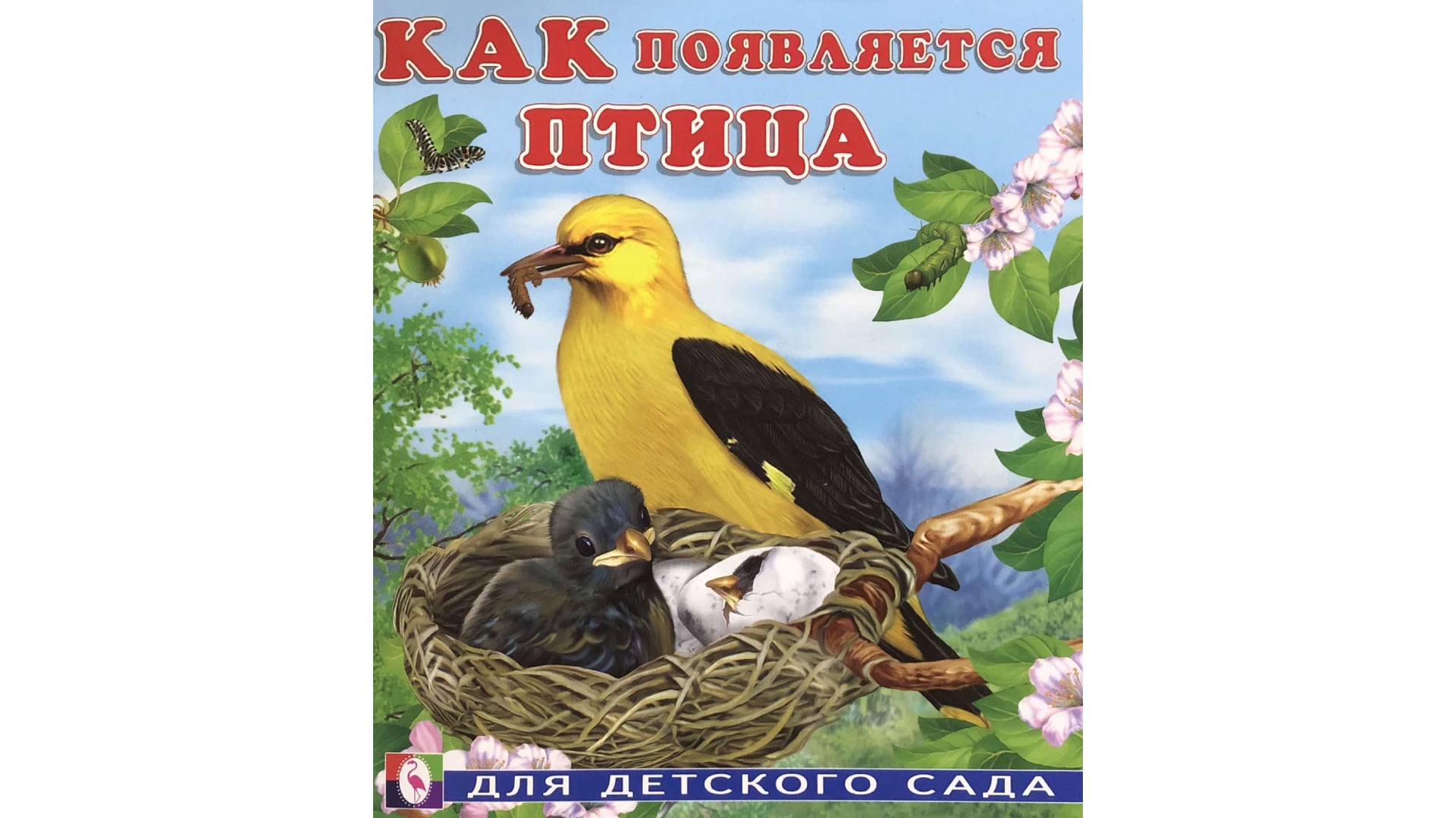 Книжка Фламинго Как появляется птица книжка фламинго как появляется птица