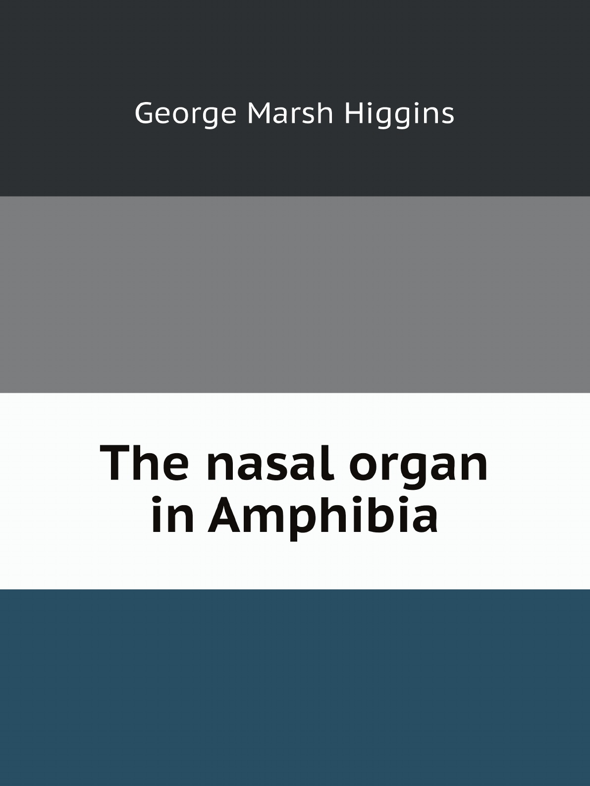 

The nasal organ in Amphibia