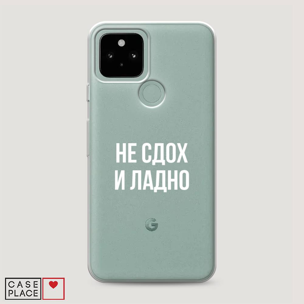 

Чехол Awog на Google Pixel 5 "Не сдох и ладно", Разноцветный, 270750-6