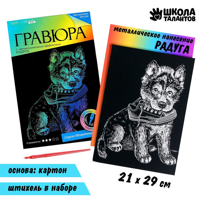 

Гравюра, Школа талантов, Щенок с ботинком с эффектом голография, 2 набора