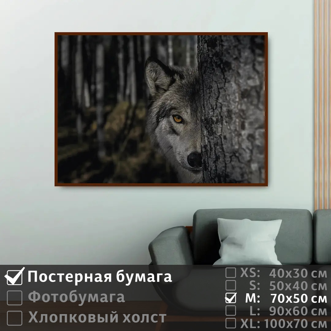 

Постер на стену ПолиЦентр Взгляд волка за деревом в темном лесу 70х50 см, ВзглядВолкаЗаДеревомВТемномЛесу