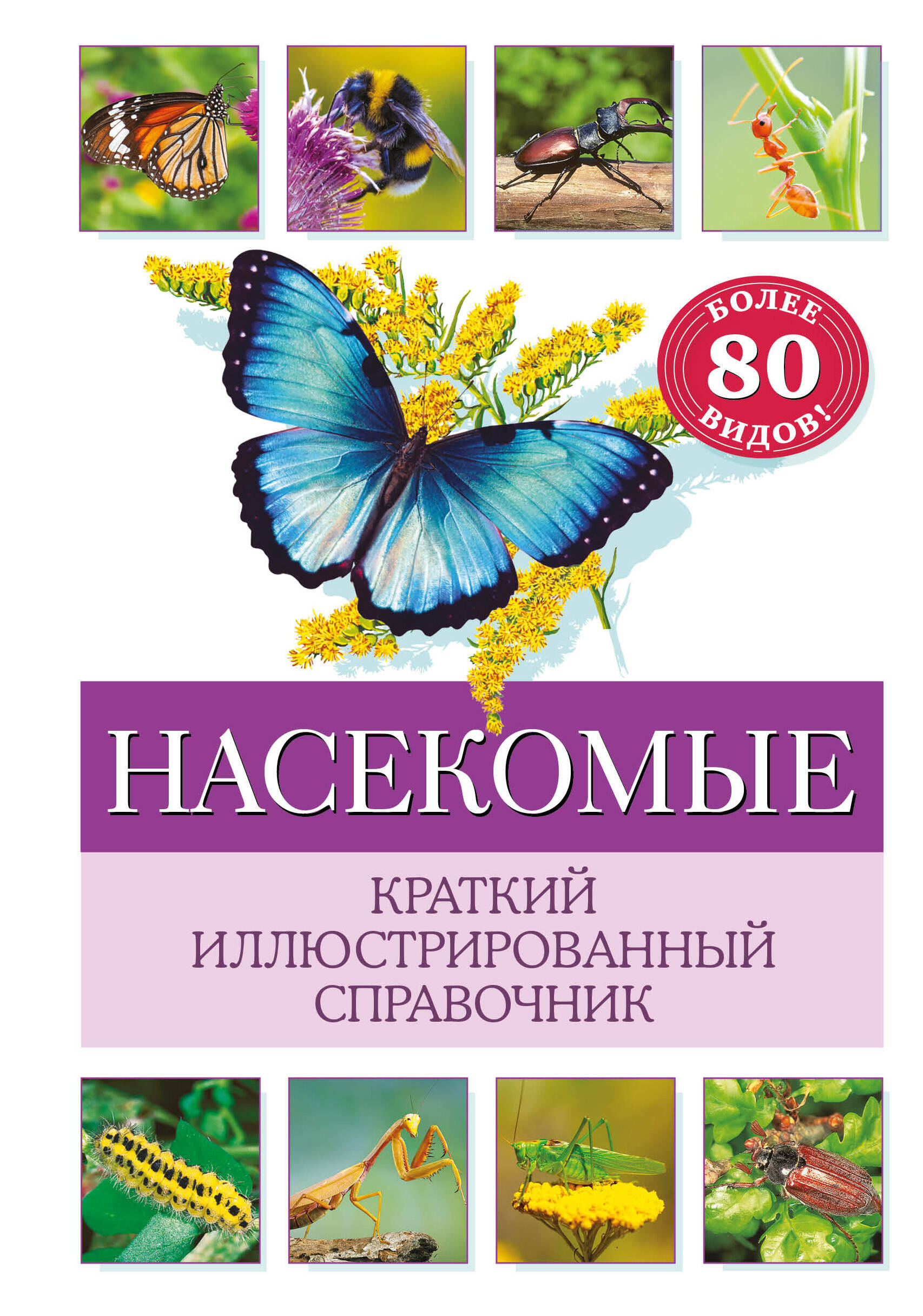 

Насекомые Краткий иллюстрированный справочник