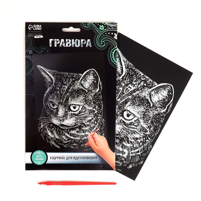 

Гравюра, Школа талантов, Британская кошка с металлическим эффектом серебра А5, 2 набора