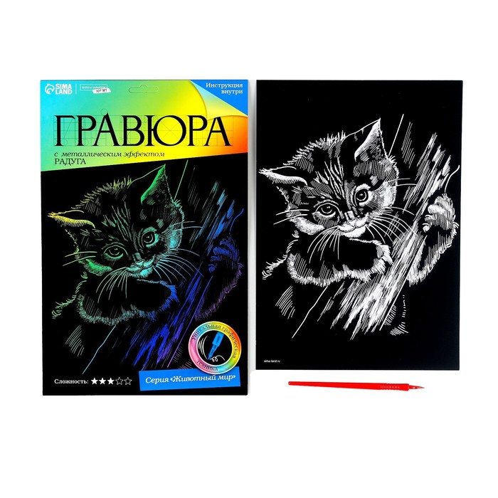 

Гравюра, Школа талантов, Котёнок с металлическим эффектом радуга А4, 2 набора
