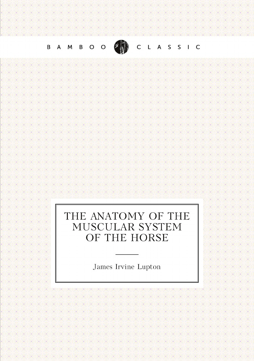 

The anatomy of the muscular system of the horse