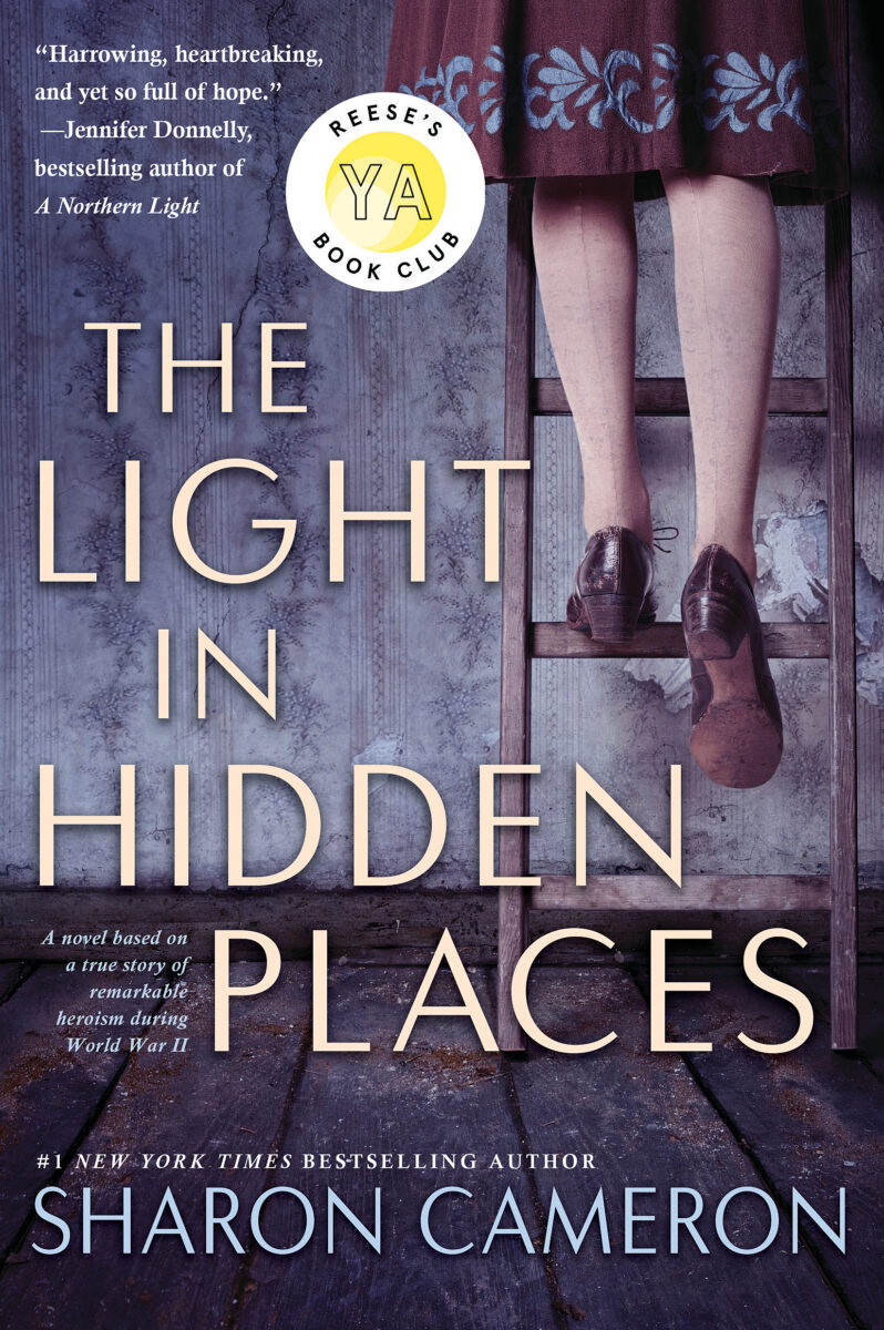 

The Light in Hidden Places