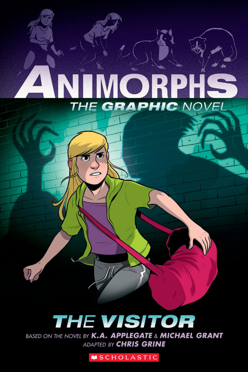 

The Visitor The Graphic Novel