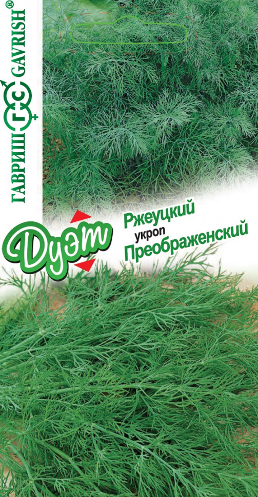 

Семена укроп Преображенский Ржеуцкий Гавриш 1999944928-10 10 уп.