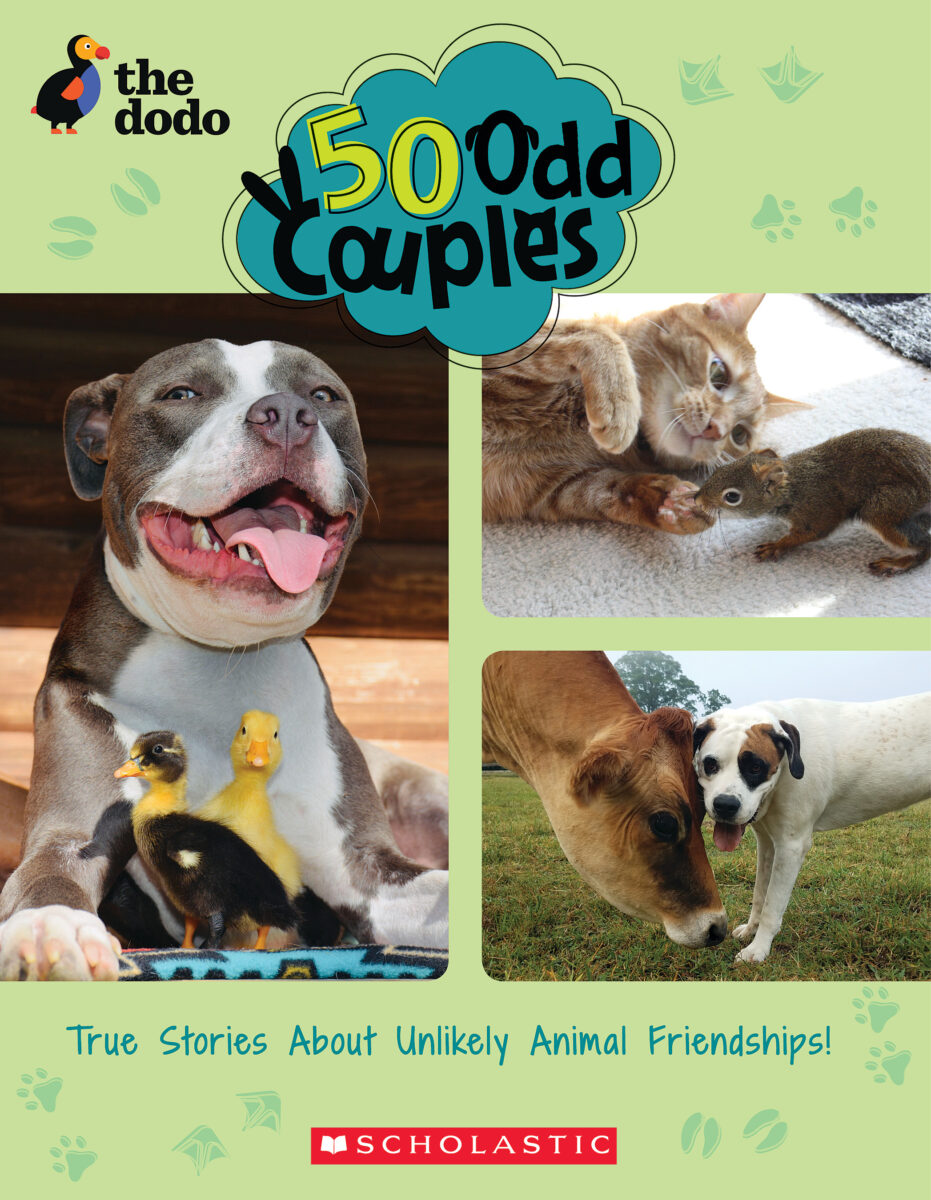

50 Odd Couples