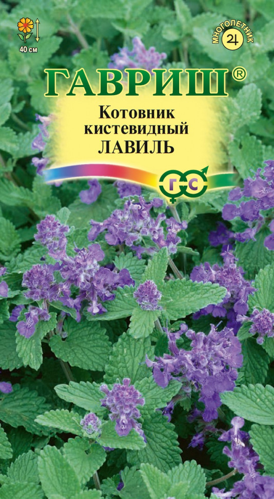 

Семена, Гавриш, Котовник кистевидный Лавиль, 5 упаковок по 0,05 гр.