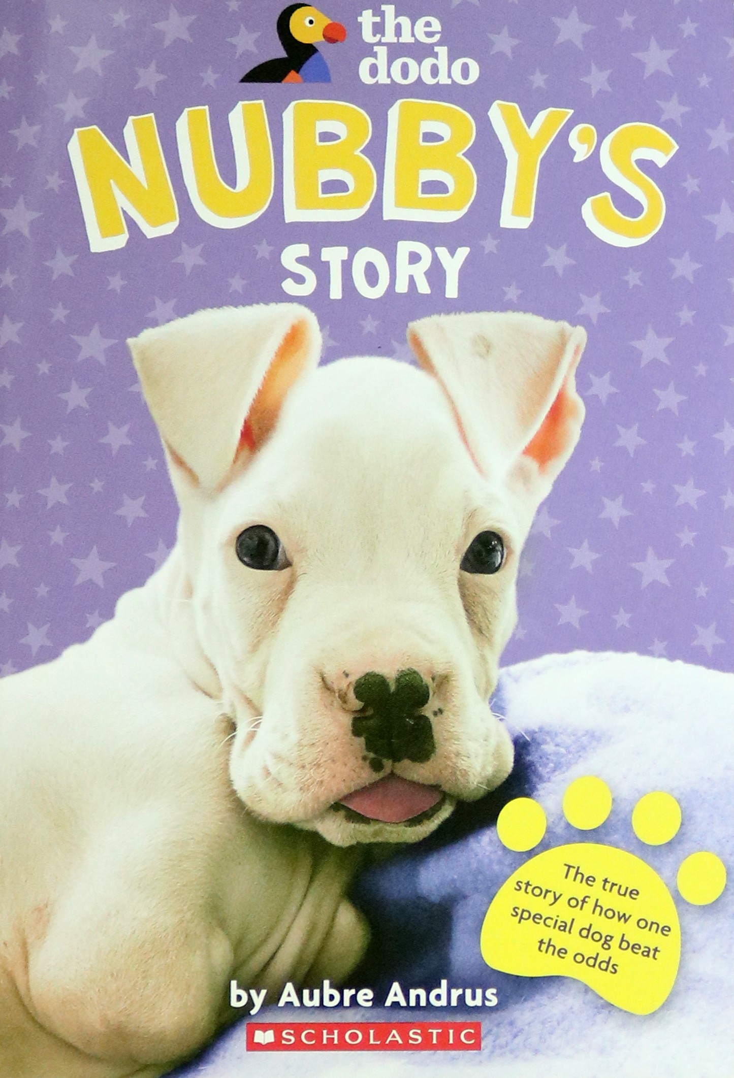 

The Nubby's Story