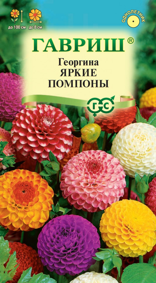 

Семена георгин Яркие помпоны Гавриш 10006617-10 10 уп.
