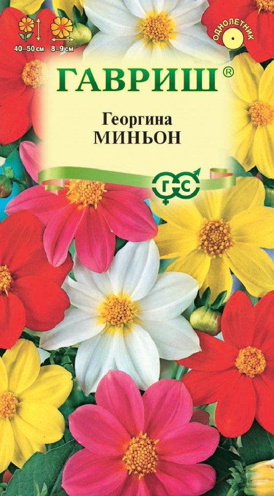 

Семена георгин Миньон Гавриш 10006461-10 10 уп.