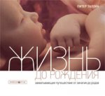 

Жизнь до рождения