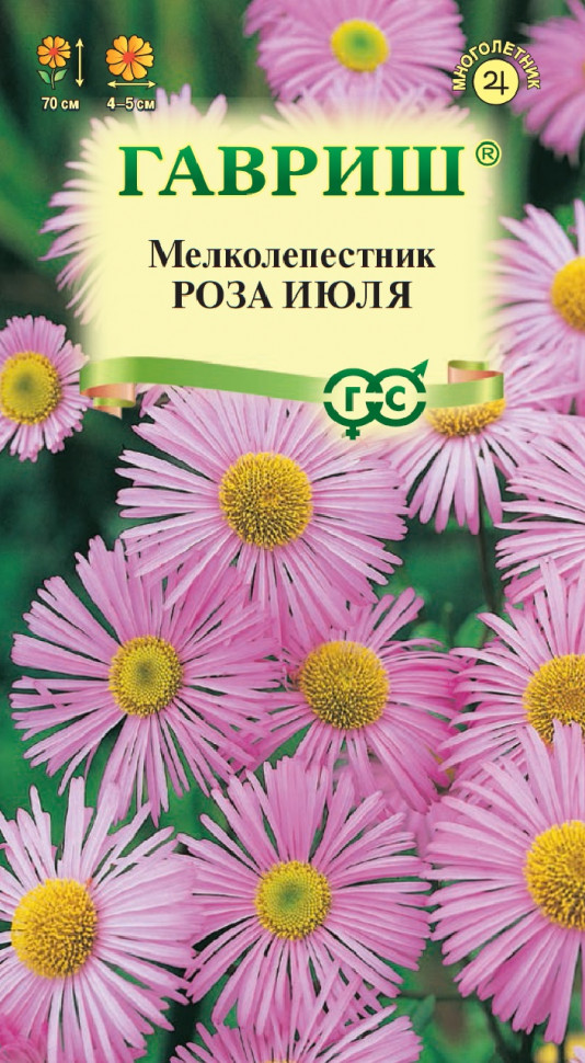 

Семена мелколепестник Роза июля Гавриш 00003309-3 3 уп.