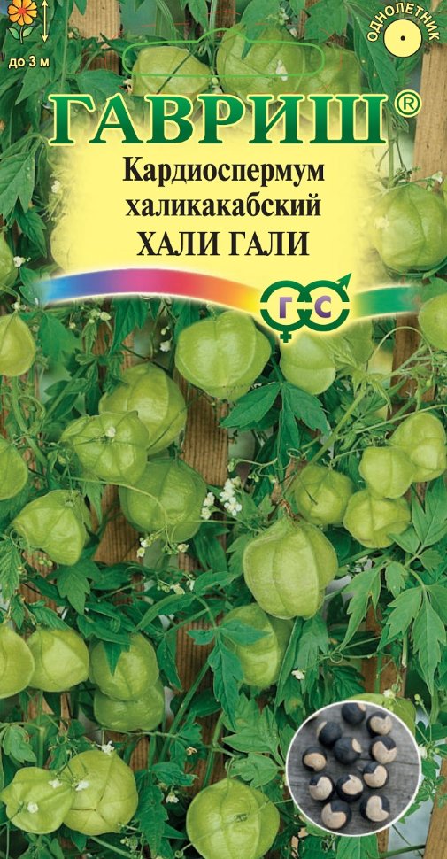 

Семена кардиоспермум Хали-Гали Гавриш 70000740-10 10 уп.