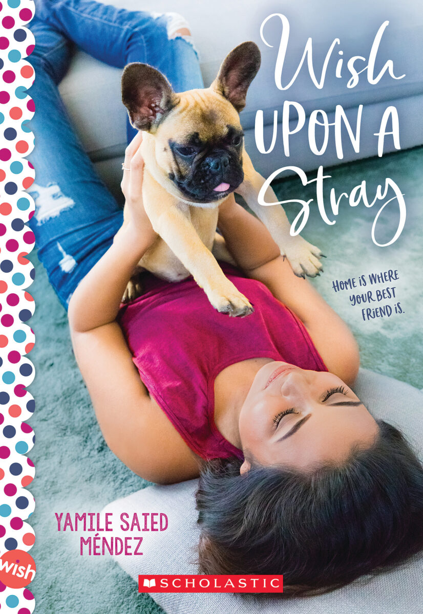 

Wish Upon a Stray