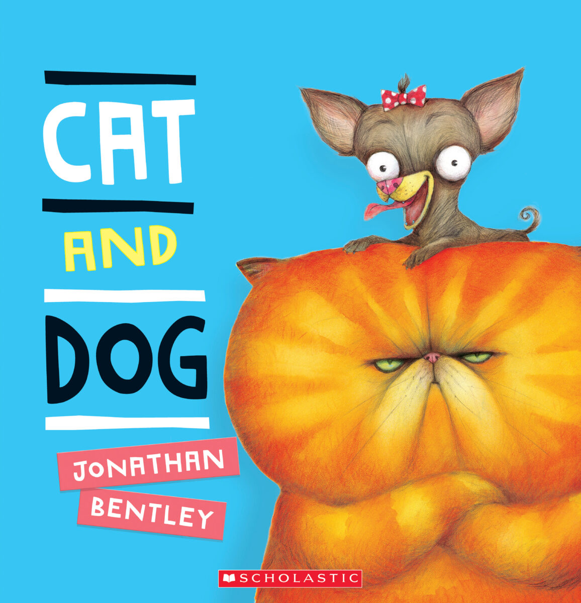 

Cat and Dog