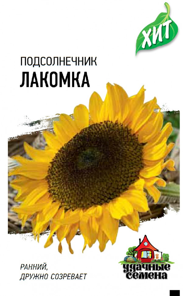 

Семена подсолнечник Лакомка Удачные семена 1999945616-20 20 уп.