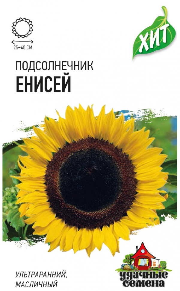 

Семена подсолнечник Енисей Удачные семена 1999945614-20 20 уп.