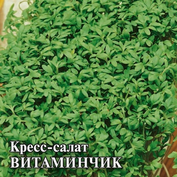 

Семена кресс-салат Витаминчик Гавриш 1999944810-10 10 уп.