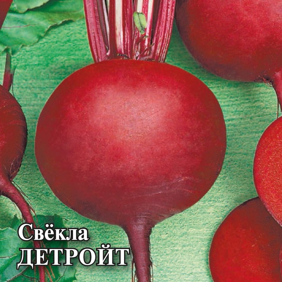 

Семена свекла Детройт Гавриш 1999944136-5 5 уп.