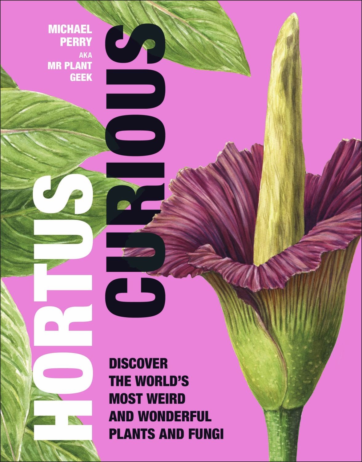 

Hortus Curious Discover the World's Most Weird and Wonderful Plants and Fungi