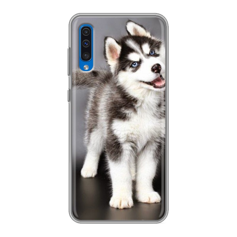 

Чехол для Samsung Galaxy A30s/А50 (SM-A307) с рисунком и защитой камеры