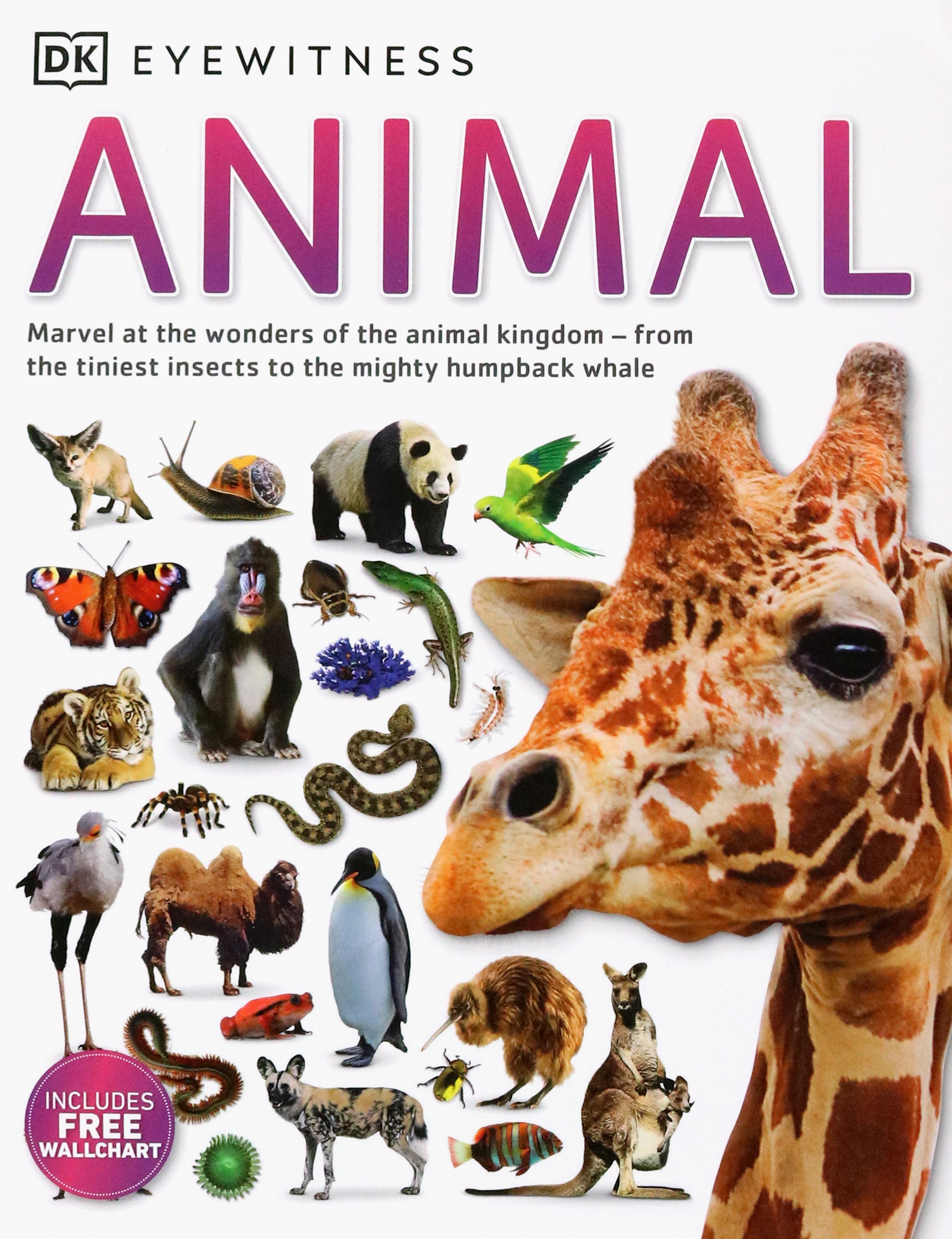 

Animal