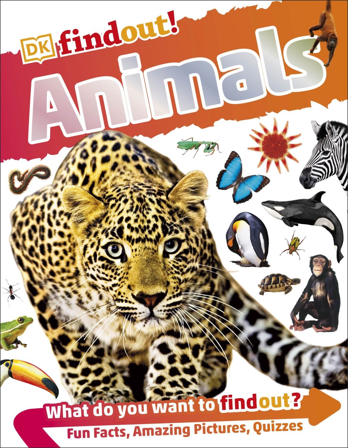 

Animals