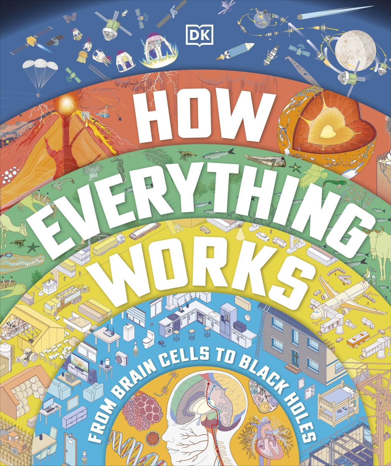 

How Everything Works From Brain Cells to Black Holes