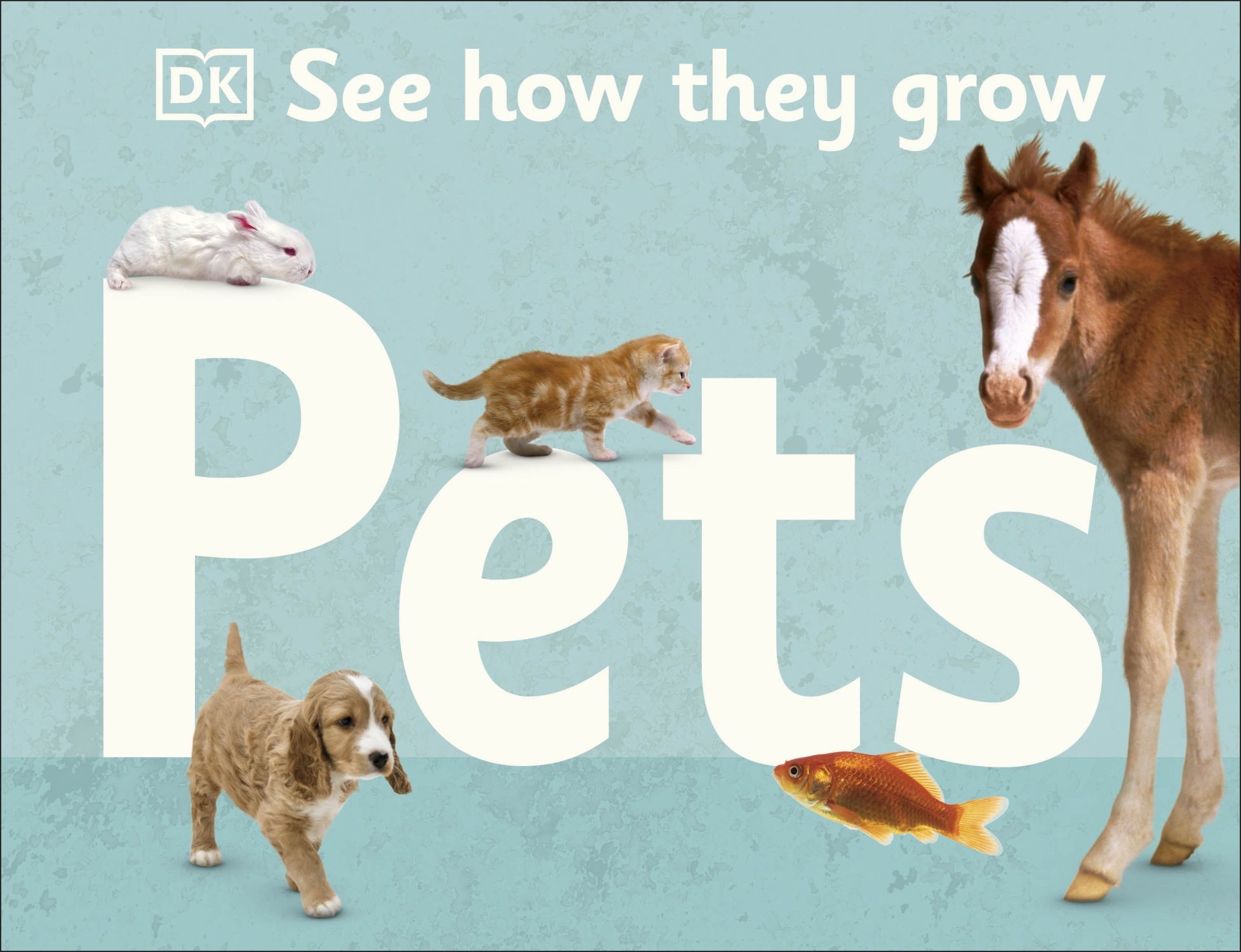 

See How They Grow Pets