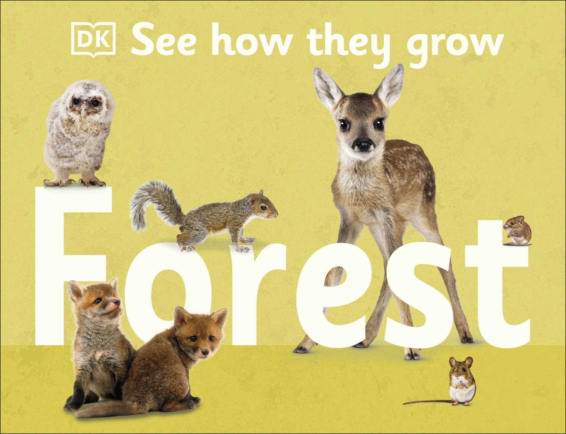 

See How They Grow Forest