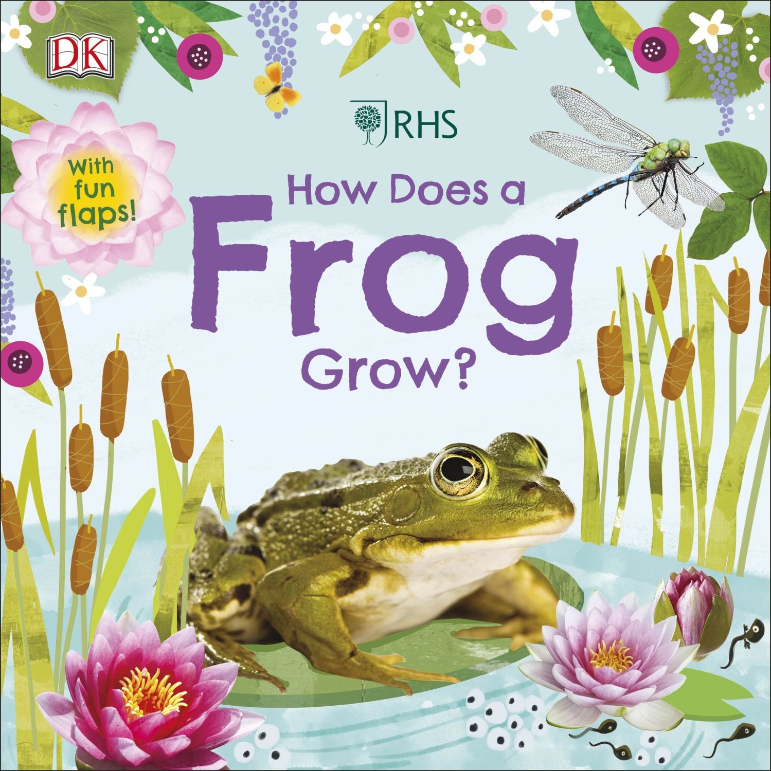 

How Does a Frog Grow