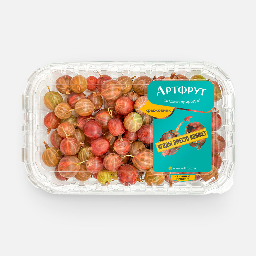 Крыжовник Artfruit красный 250 г