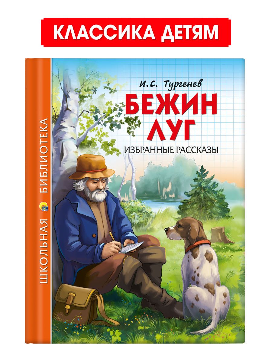 

Школьная библиотека И.С. Тургенев Бежин луг, Школьная библиотека