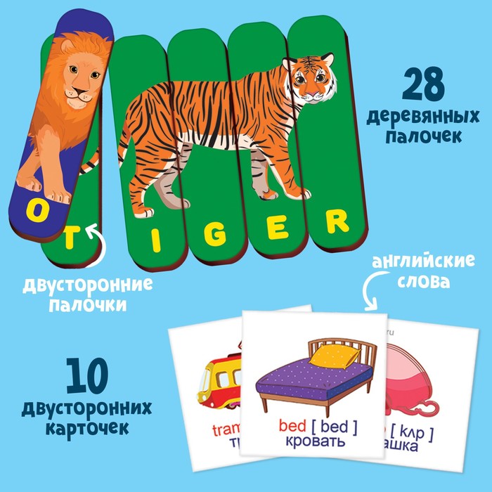 

Логические палочки «Английские слова»