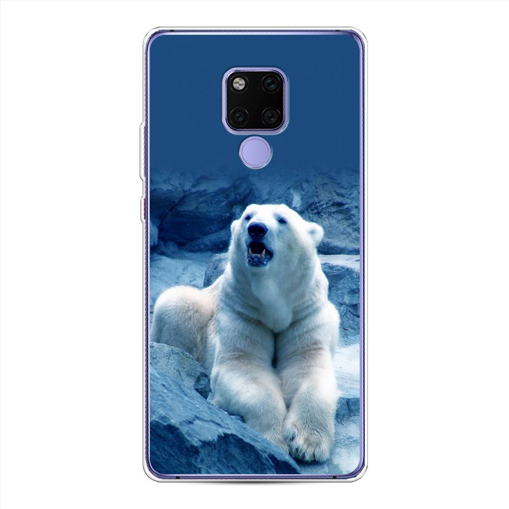

Чехол для Huawei Mate 20X "Белый медведь", Голубой;белый, 66950-1