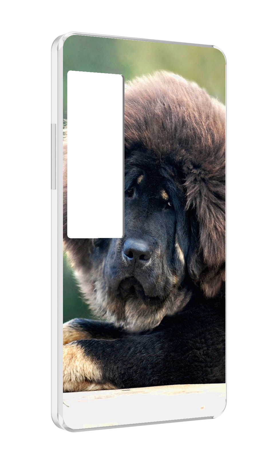 

Чехол MyPads тибетскии мастиф для Meizu Pro 7 Plus, Прозрачный, Tocco