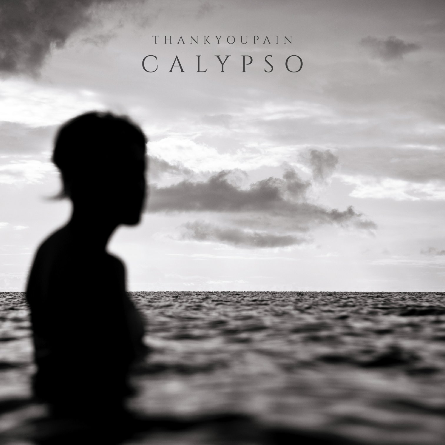 

Thankyoupain Calypso (Dj-Pack)