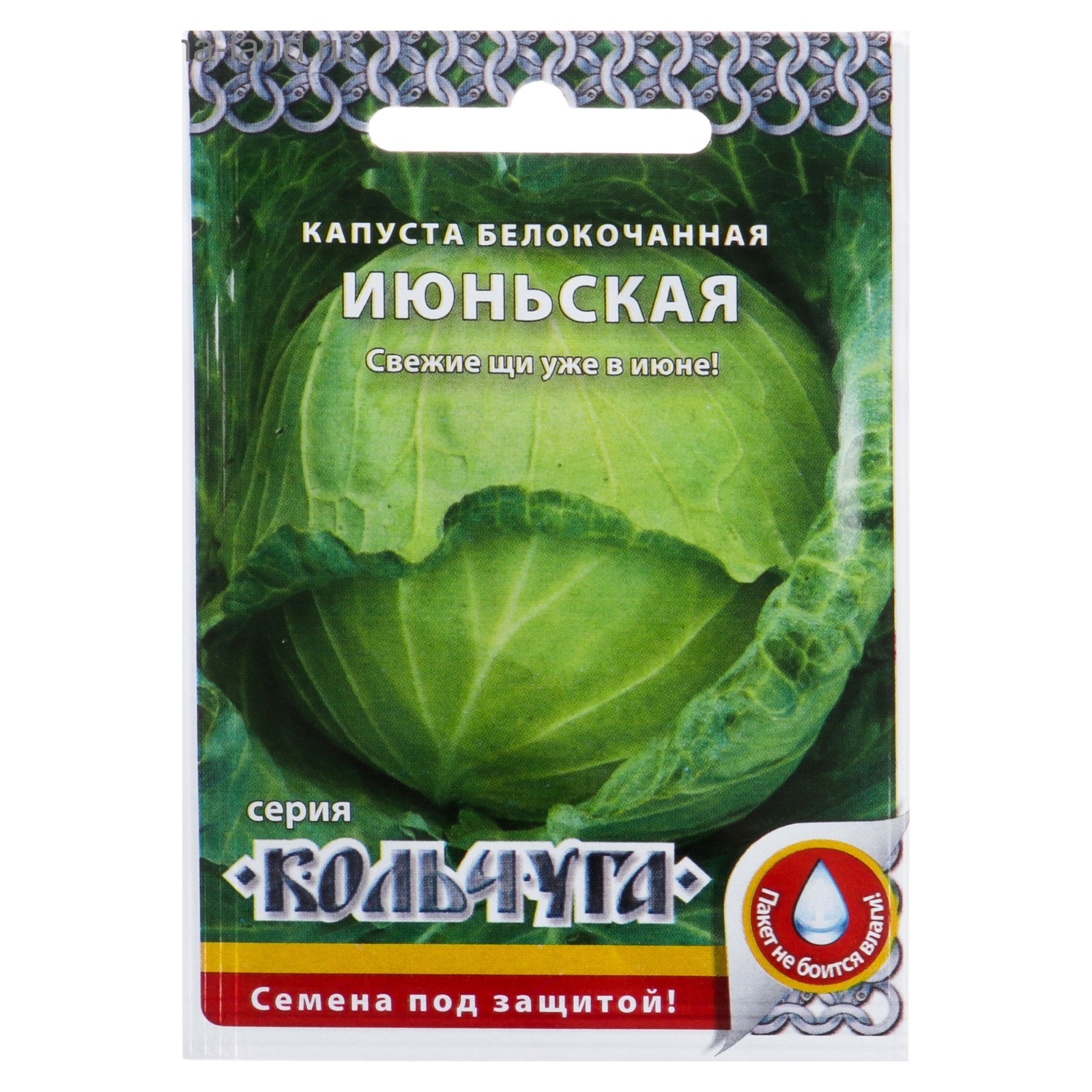 Семена русский огород Кольчуга капуста белокочанная №1 Грибовский 147 0.5 г
