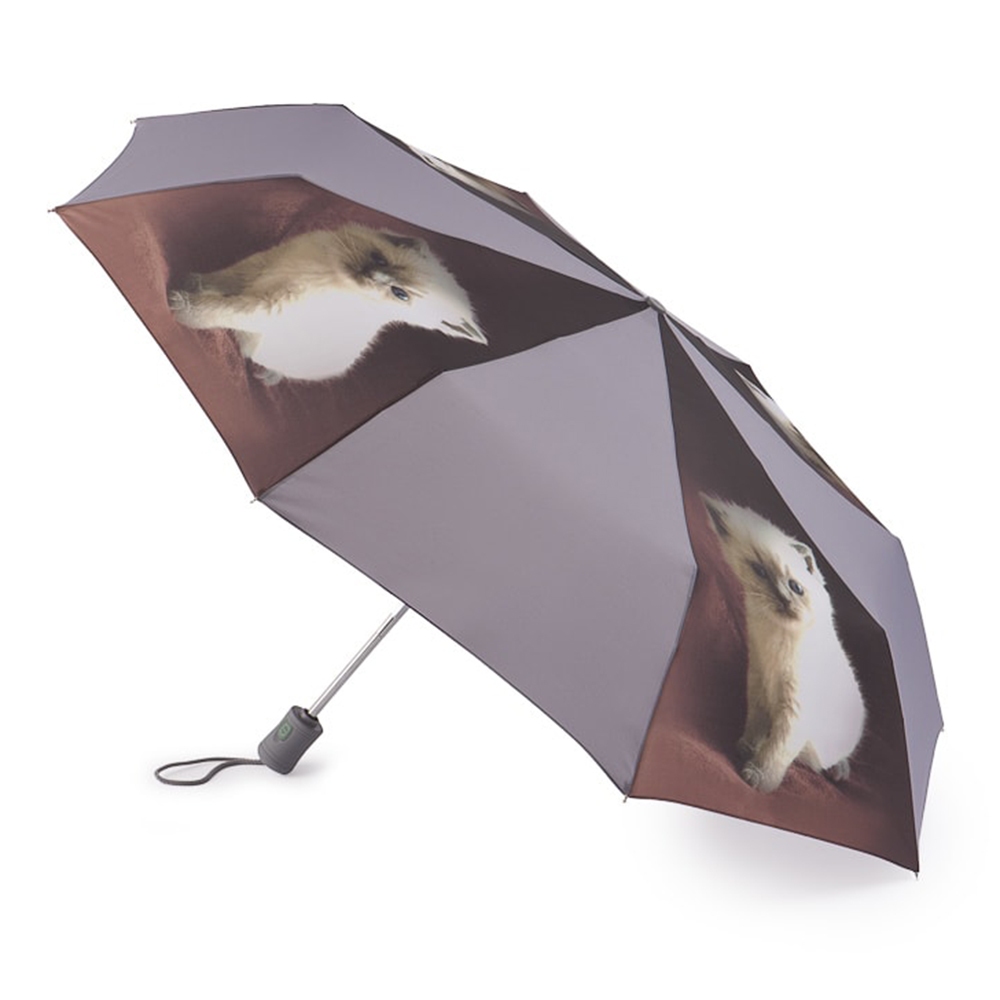 Зонт складной женский автоматический Fulton R346 котенок