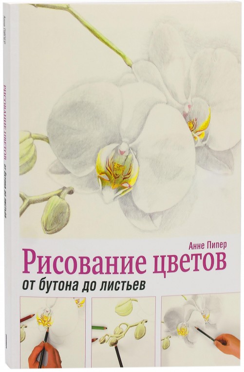 

Рисование цветов от бутона до листьев