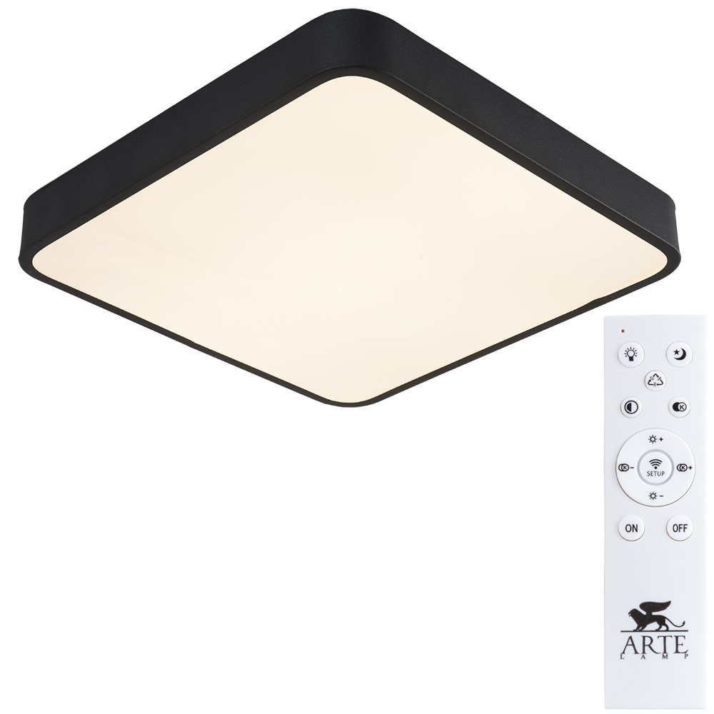 

Потолочный светильник Arte Lamp SCENA A2663PL-1BK